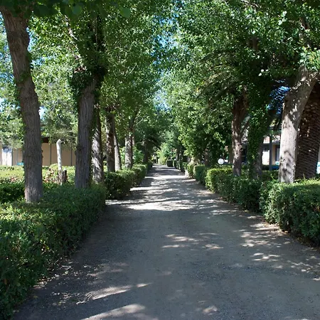 酒店 Baia Del Sole 卡波利韦里